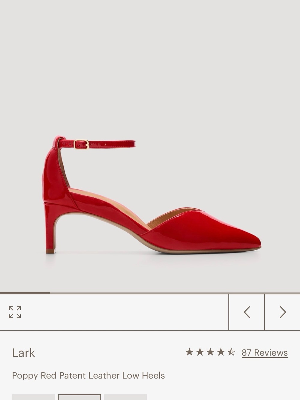 NWT and Box Bared Footwear Lark Heels
